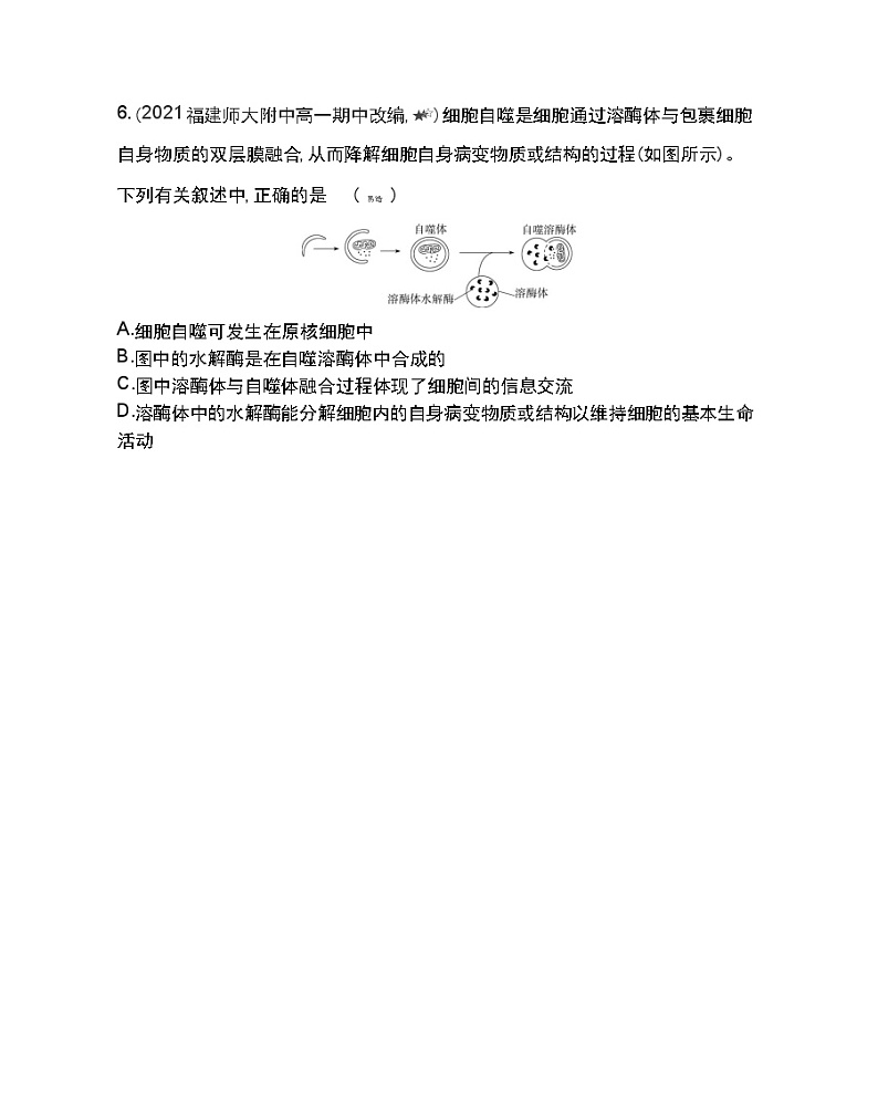 第三章复习提升-2022版生物必修1 人教版（新课标） 同步练习 （Word含解析）03