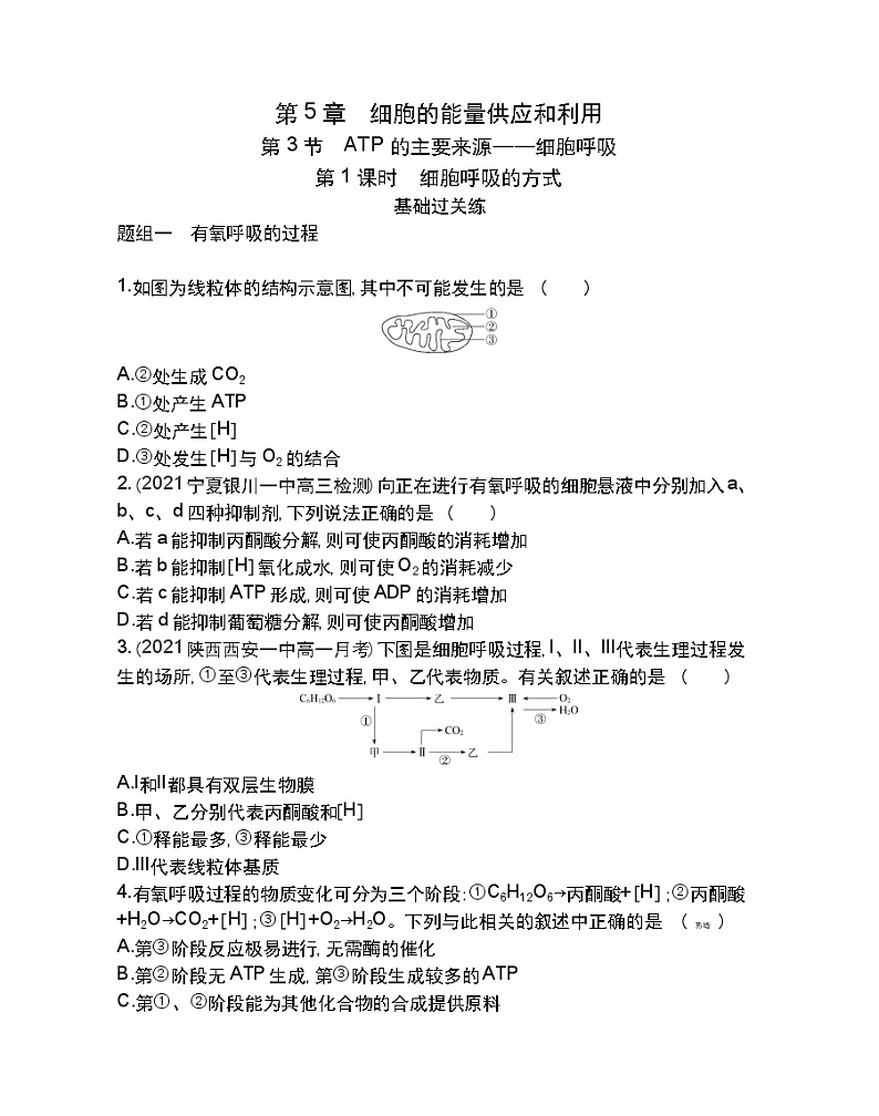 第3节 ATP的主要来源——细胞呼吸第1课时-2022版生物必修1 人教版（新课标） 同步练习 （Word含解析）01