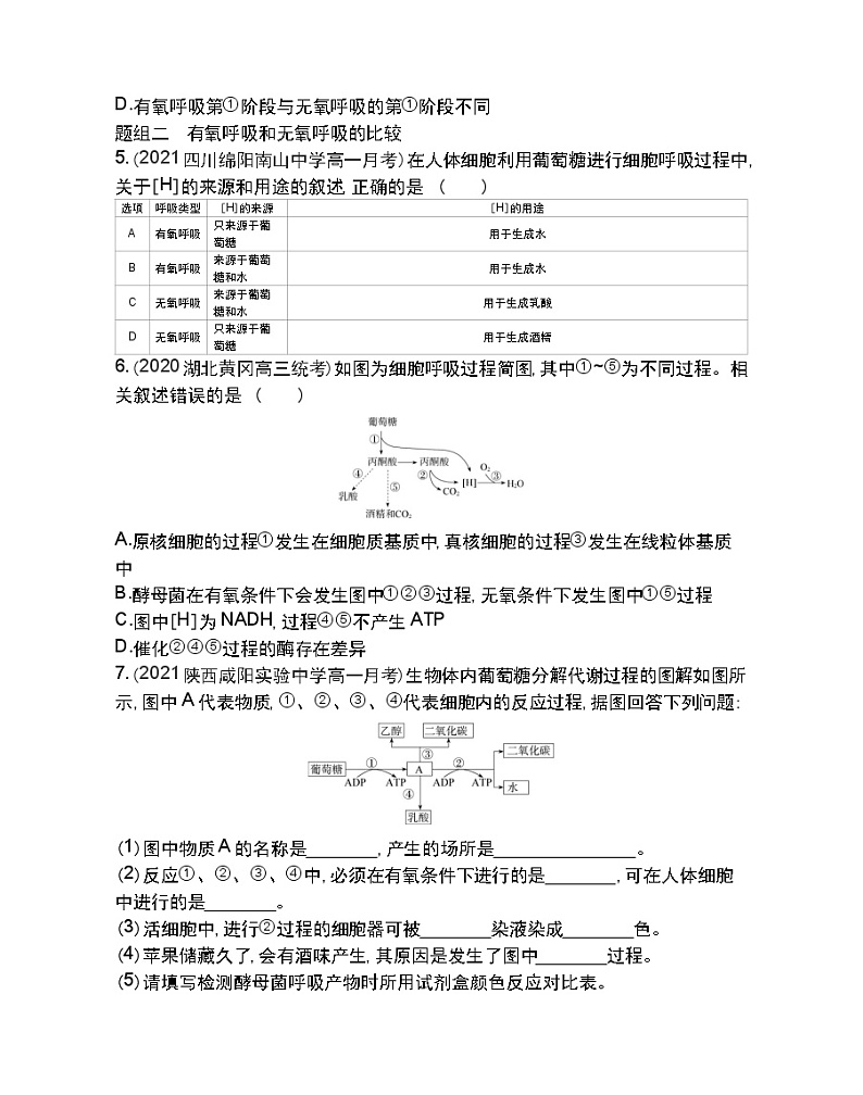 第3节 ATP的主要来源——细胞呼吸第1课时-2022版生物必修1 人教版（新课标） 同步练习 （Word含解析）02