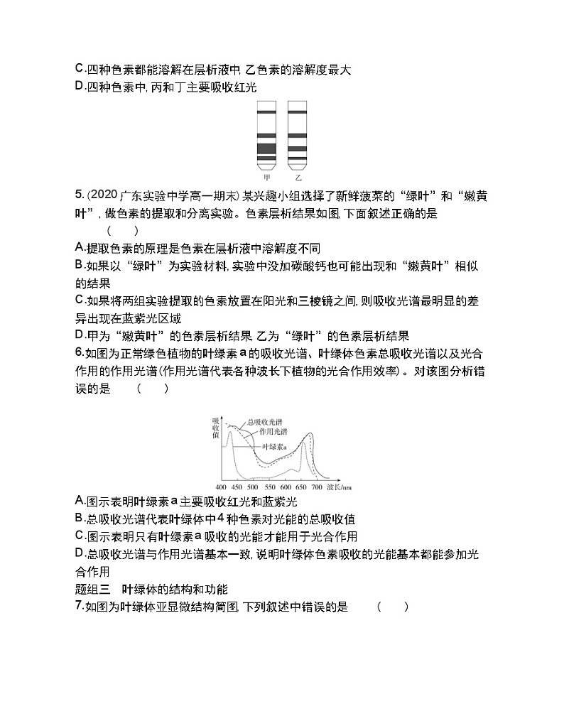 第4节 能量之源——光与光合作用第1课时-2022版生物必修1 人教版（新课标） 同步练习 （Word含解析）02