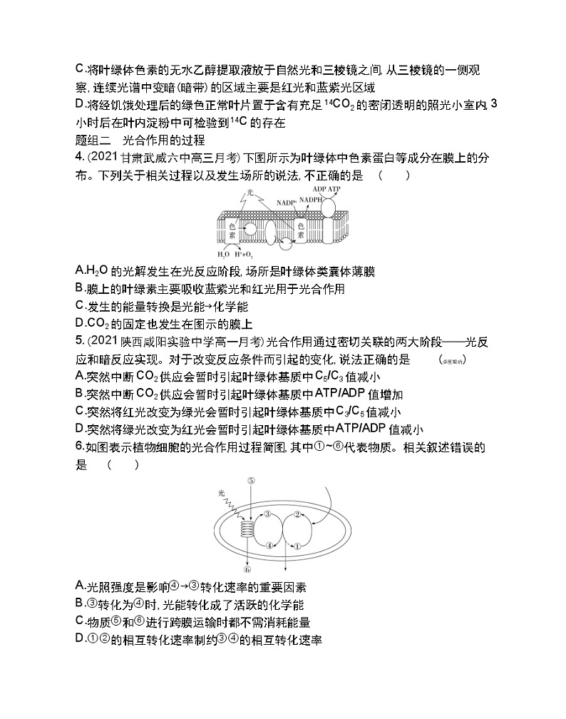 第4节 能量之源——光与光合作用第2课时-2022版生物必修1 人教版（新课标） 同步练习 （Word含解析）02