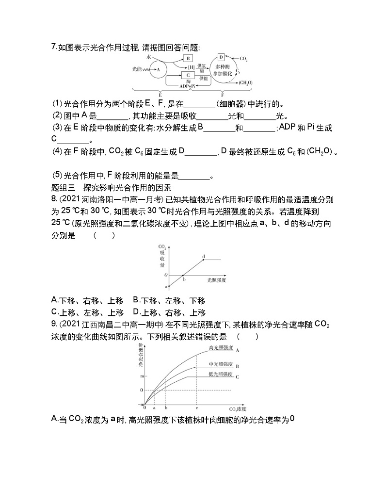 第4节 能量之源——光与光合作用第2课时-2022版生物必修1 人教版（新课标） 同步练习 （Word含解析）03
