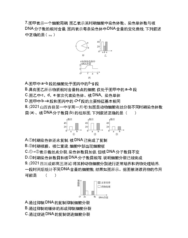 第1节细胞的增殖第2课时-2022版生物必修1 人教版（新课标） 同步练习 （Word含解析）03