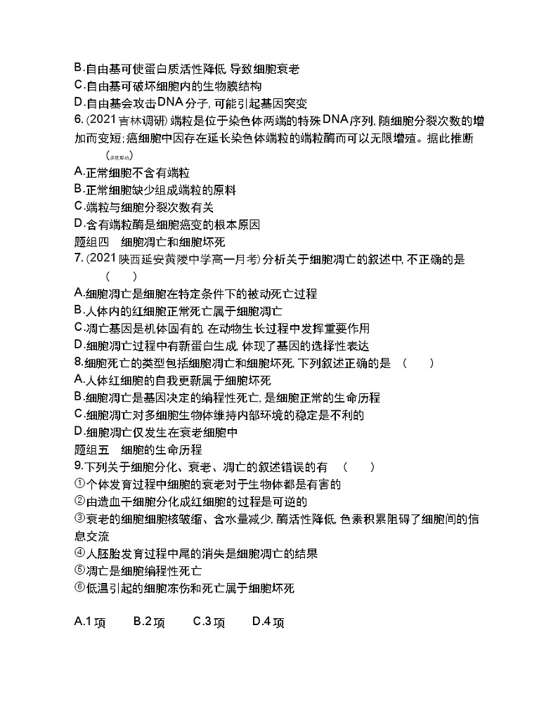 第3节细胞的衰老和凋亡-2022版生物必修1 人教版（新课标） 同步练习 （Word含解析）02