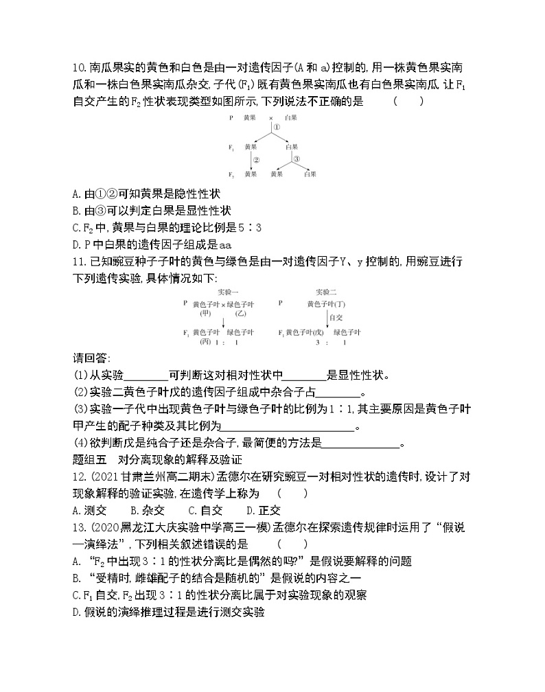 第1章 第1节　孟德尔的豌豆杂交实验(一)第1课时-2022版生物必修2 人教版（新课标） 同步练习 （Word含解析）03