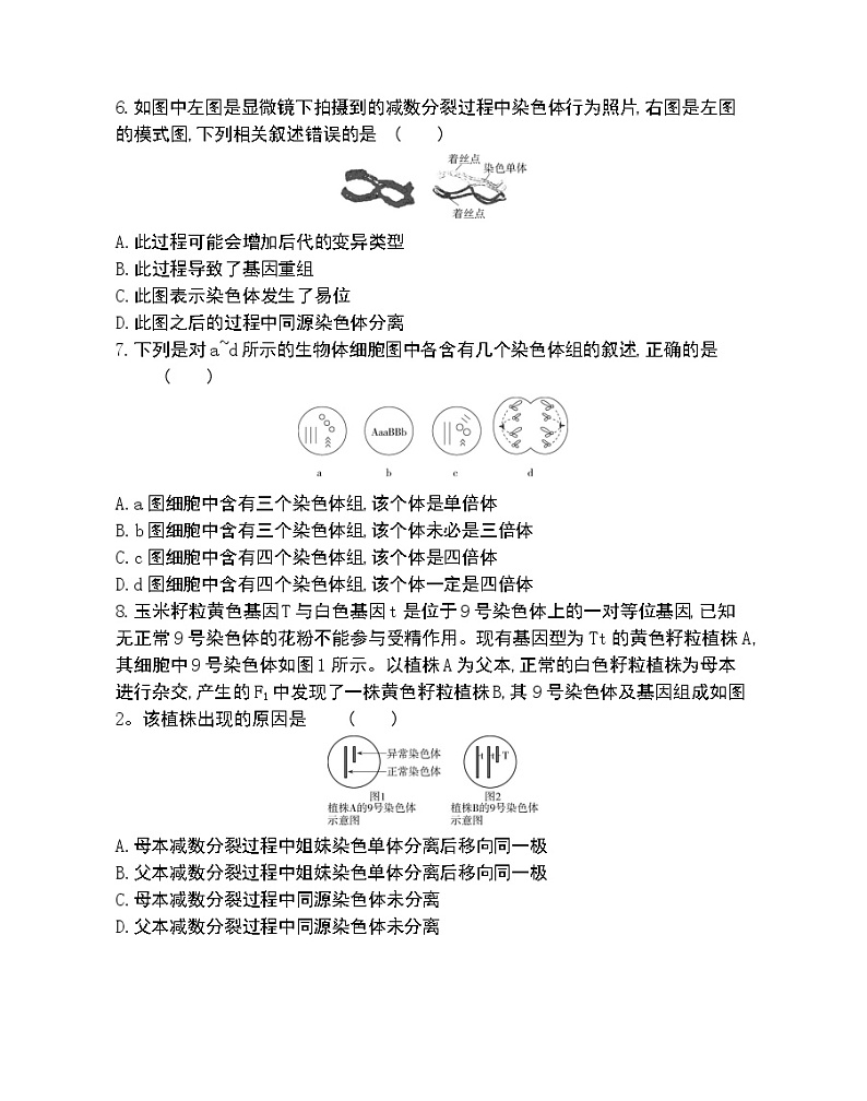 第五章达标检测-2022版生物必修2 人教版（新课标） 同步练习 （Word含解析）02