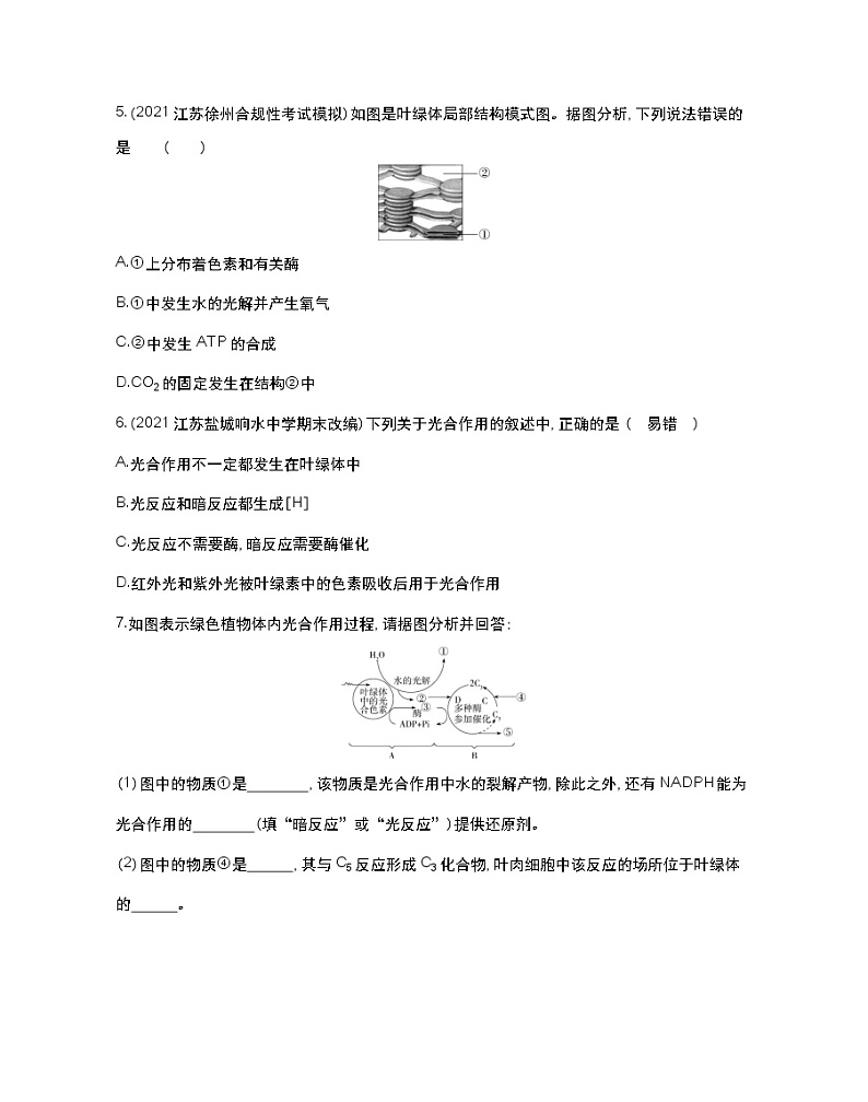 第二课时　绿色植物光合作用的过程-2022版生物必修第一册 苏教版（2019） 同步练习 （Word含解析）02