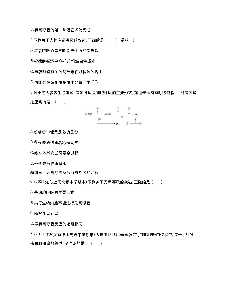 第一课时　有氧呼吸和无氧呼吸-2022版生物必修第一册 苏教版（2019） 同步练习 （Word含解析）第2页