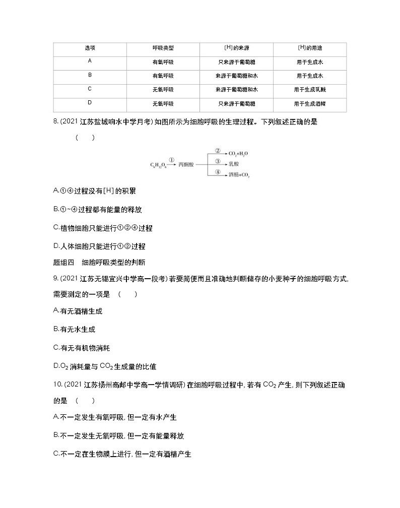 第一课时　有氧呼吸和无氧呼吸-2022版生物必修第一册 苏教版（2019） 同步练习 （Word含解析）第3页