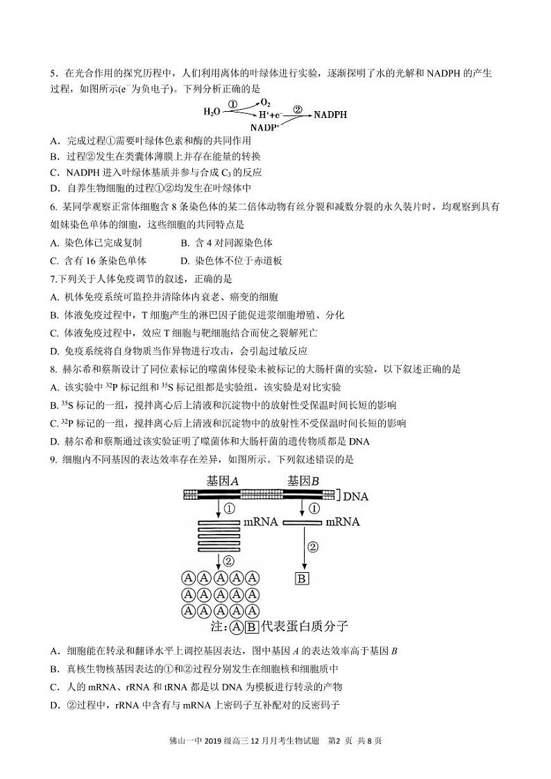 佛山一中2019级高三12月月考生物试题第2页