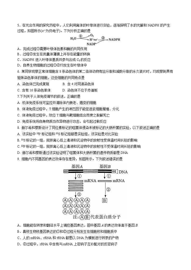 佛山一中高三12月月考生物试卷第2页