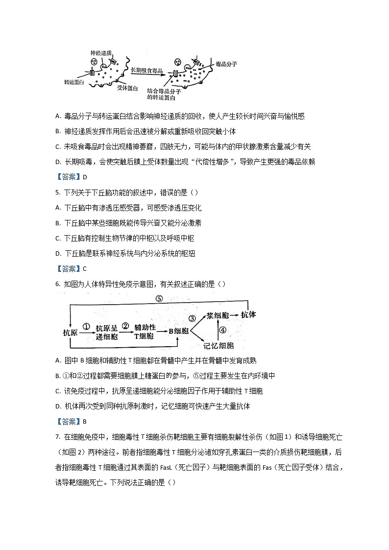 广东省梅州市2021-2022学年高二上学期期末考试生物含答案第2页