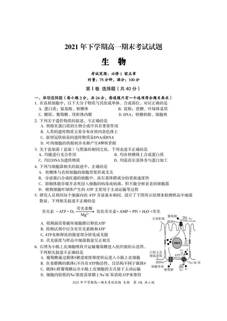 高一生物试题第1页