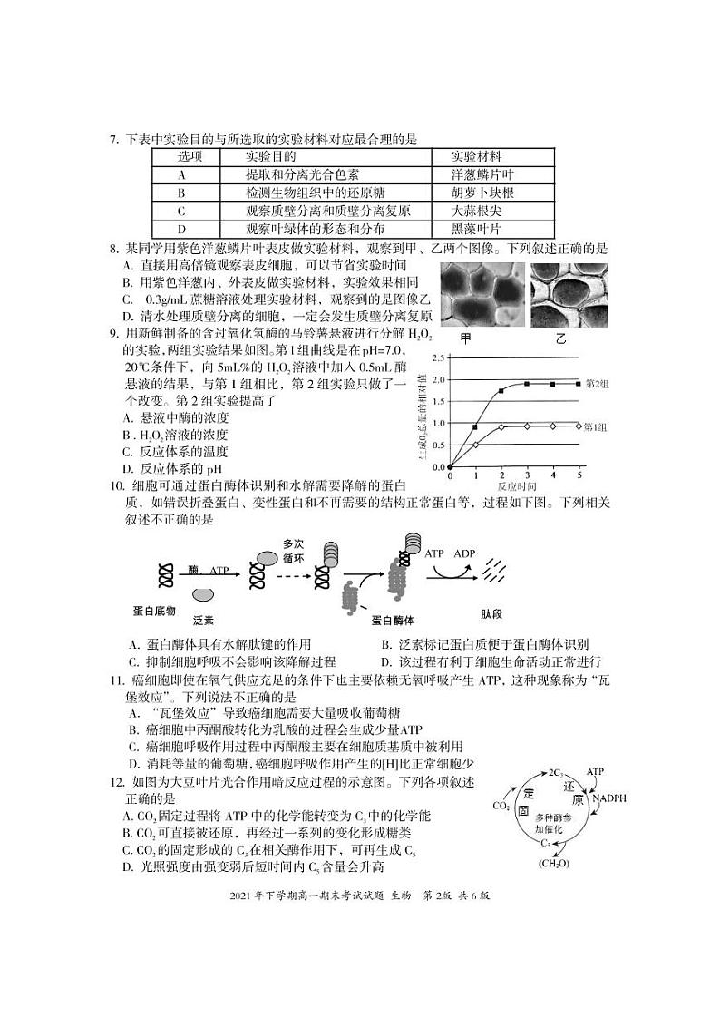 高一生物试题第2页