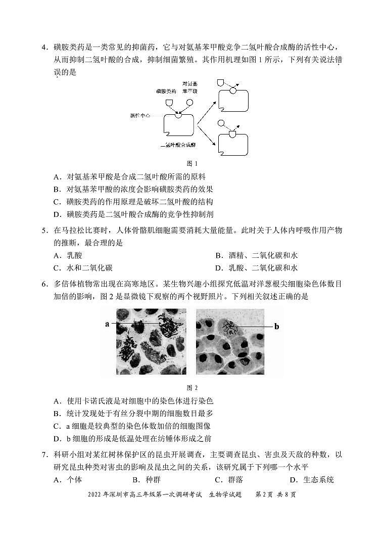 2022年深圳市高三年级第一次调研考试一模生物试题无答案第2页