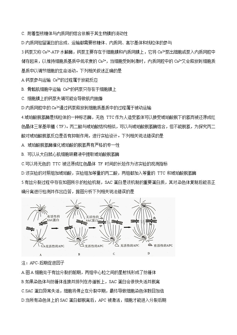 山东省济宁市任兴高中联盟2020-2021学年高三1月联考生物试题02
