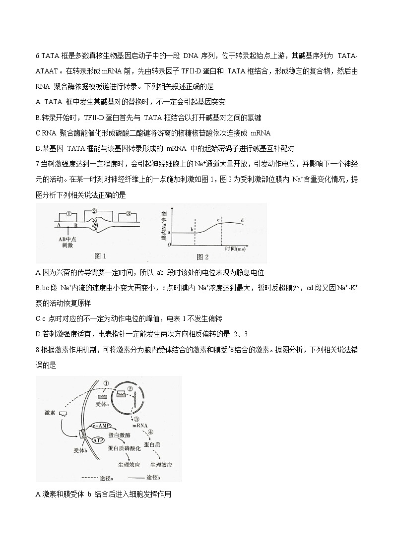 山东省济宁市任兴高中联盟2020-2021学年高三1月联考生物试题03