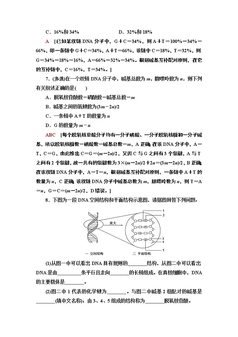 课时作业10 DNA分子的结构【新教材】苏教版（2019）高中生物必修二第3页