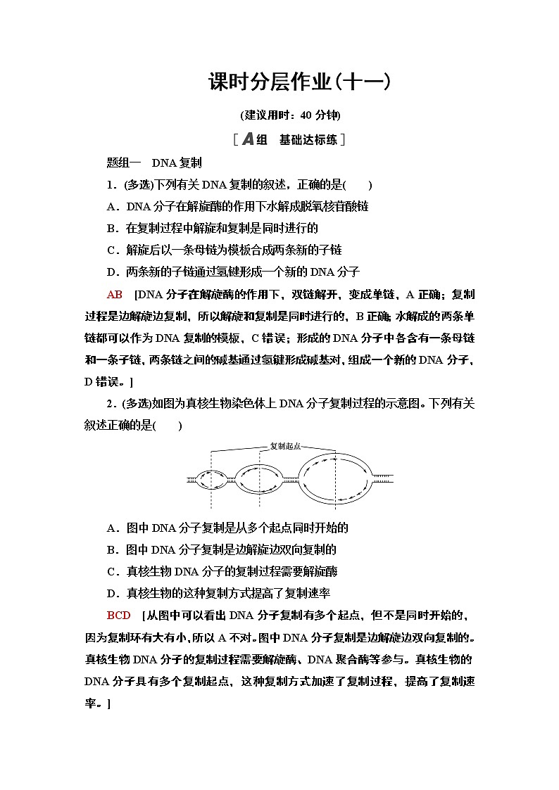 课时作业11 DNA分子的复制【新教材】苏教版（2019）高中生物必修二 练习01