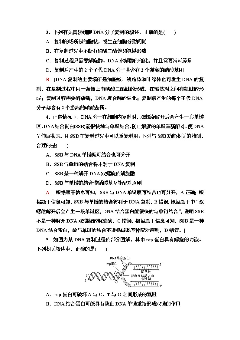 课时作业11 DNA分子的复制【新教材】苏教版（2019）高中生物必修二 练习02