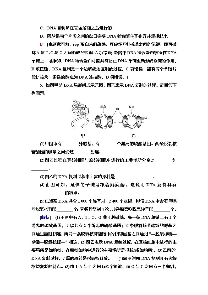 课时作业11 DNA分子的复制【新教材】苏教版（2019）高中生物必修二 练习03