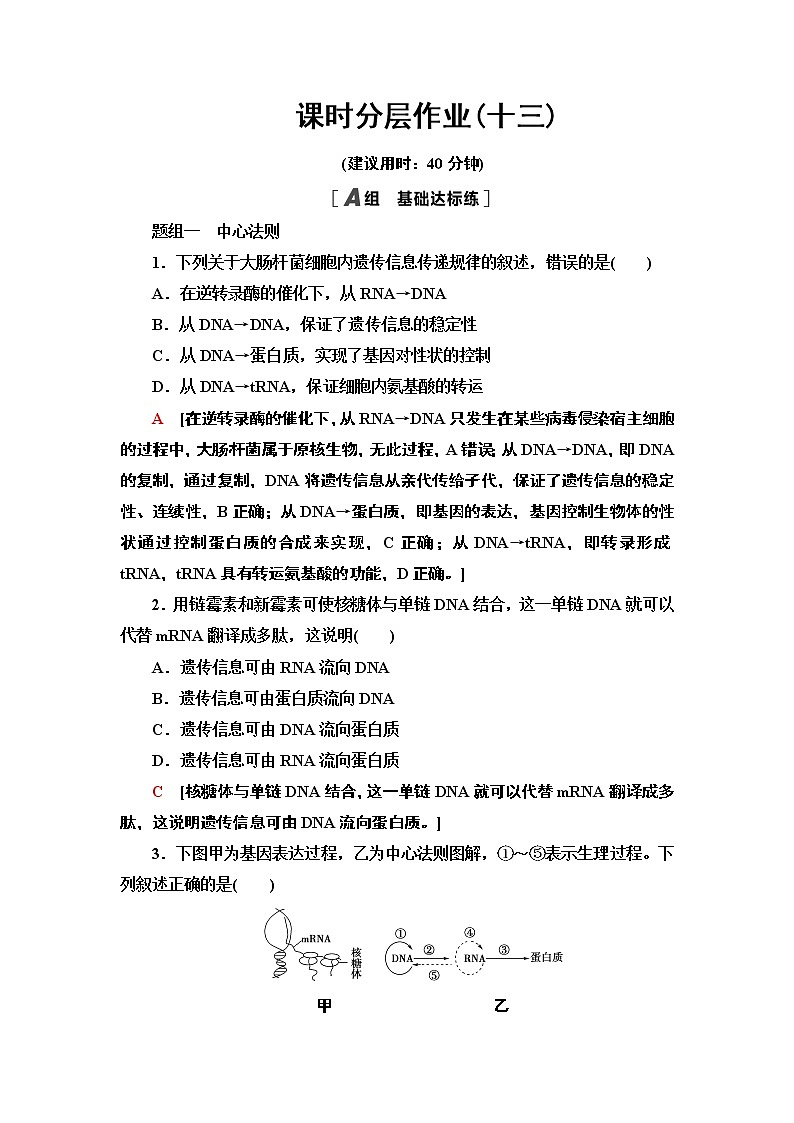 课时作业13 中心法则、细胞分化及表观遗传【新教材】苏教版（2019）高中生物必修二 练习01