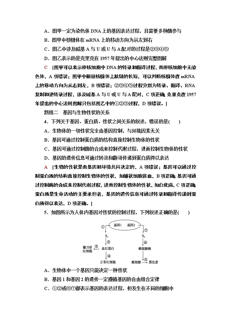 课时作业13 中心法则、细胞分化及表观遗传【新教材】苏教版（2019）高中生物必修二 练习02