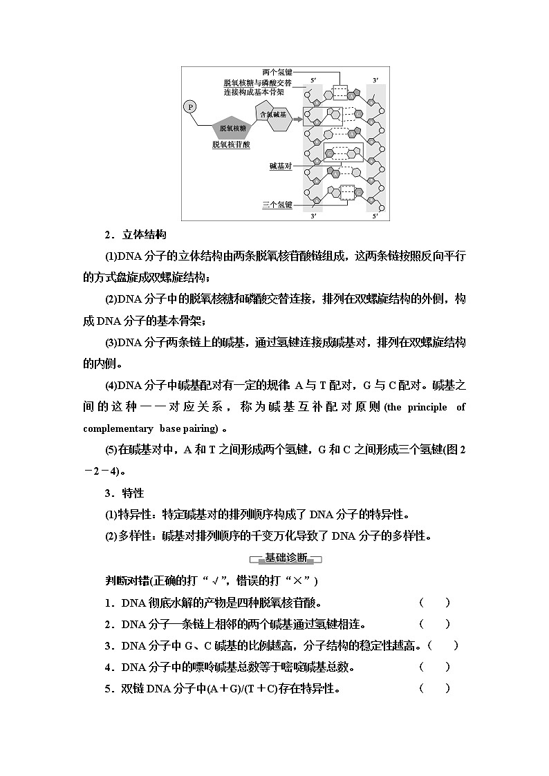 第2章 第2节 第1课时 DNA分子的结构 讲义 【新教材】苏教版（2019）高中生物必修二教案02