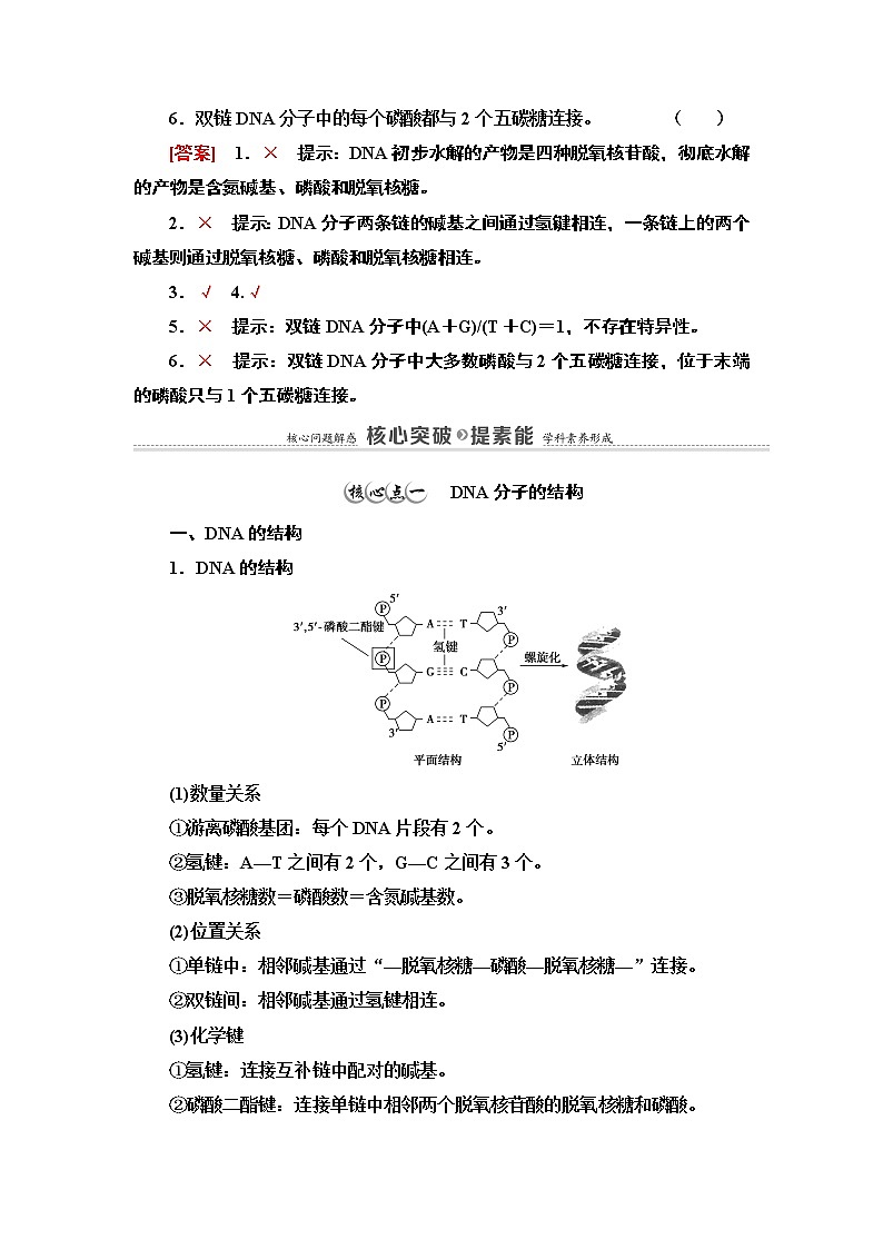 第2章 第2节 第1课时 DNA分子的结构 讲义 【新教材】苏教版（2019）高中生物必修二教案03