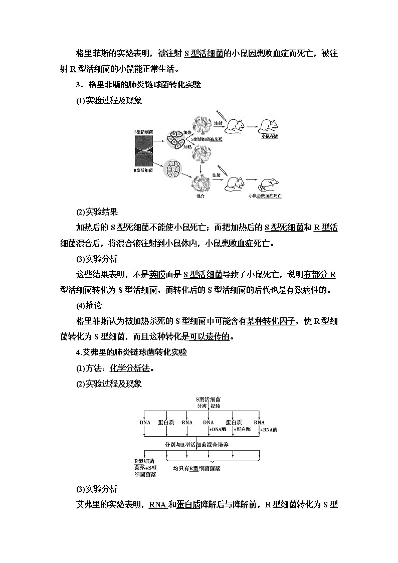 第2章 第1节 DNA是主要的遗传物质 讲义 【新教材】苏教版（2019）高中生物必修二教案02