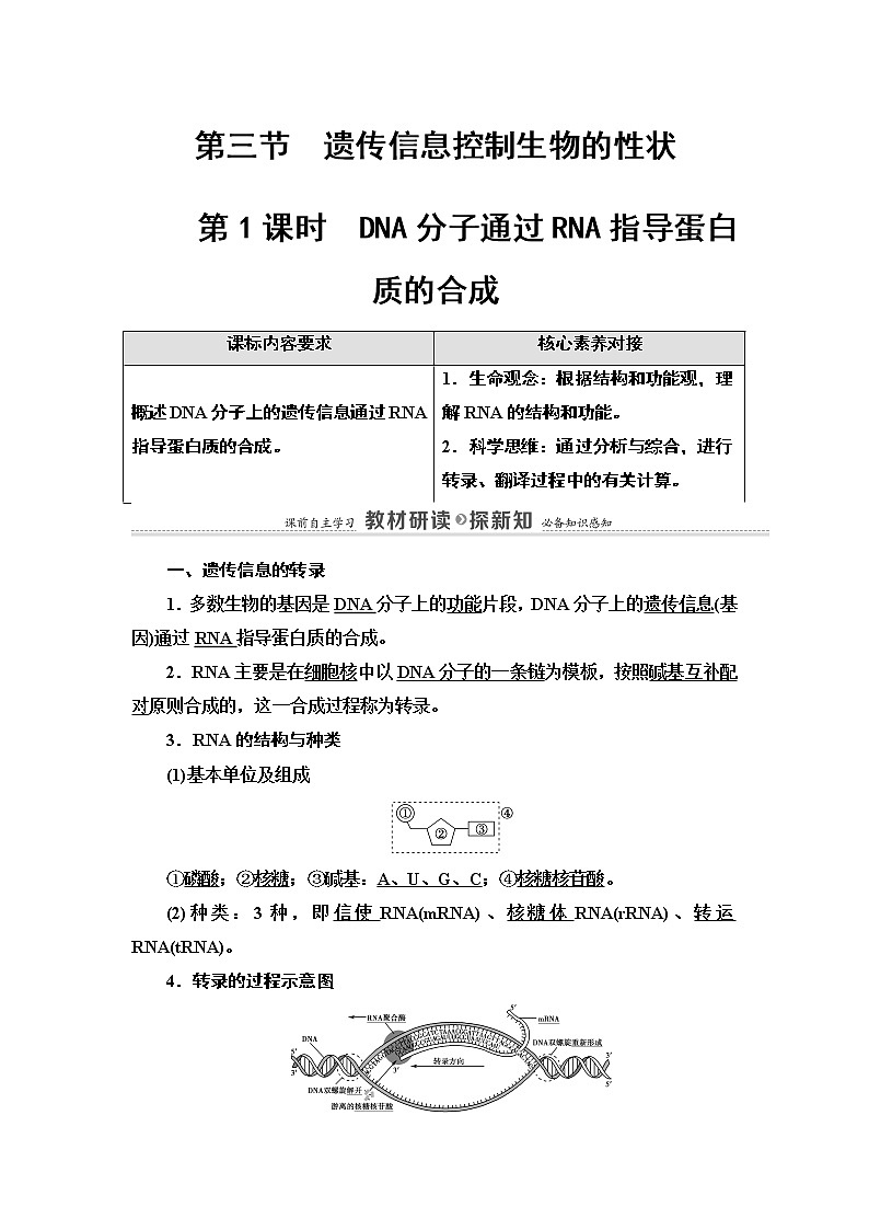 第2章 第3节 第1课时 DNA分子通过RNA指导蛋白质的合成 讲义 【新教材】苏教版（2019）高中生物必修二教案第1页
