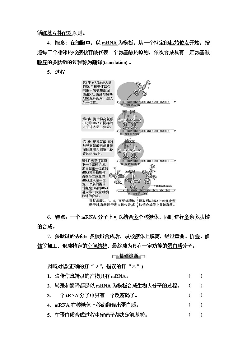 第2章 第3节 第1课时 DNA分子通过RNA指导蛋白质的合成 讲义 【新教材】苏教版（2019）高中生物必修二教案第3页