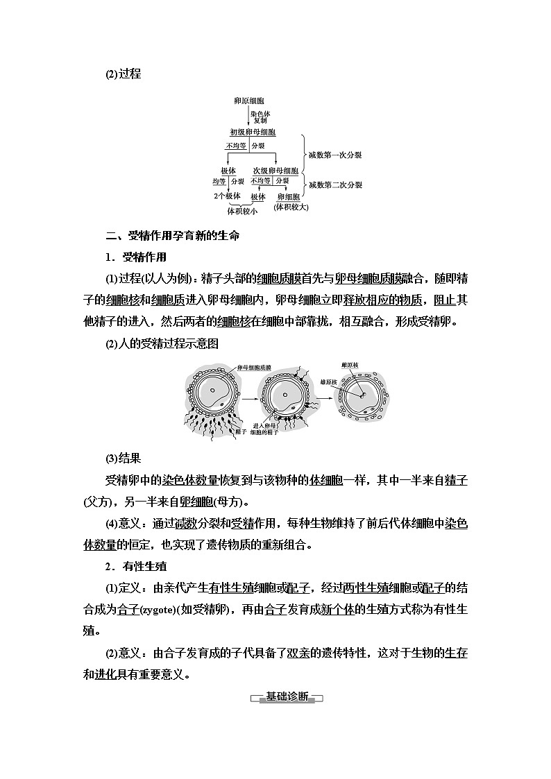 第1章 第1节 第2课时 哺乳动物生殖细胞的形成、受精作用孕育新的生命 讲义 【新教材】苏教版（2019）高中生物必修二教案02