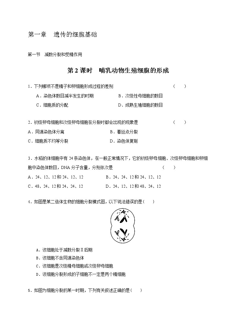1.1.2 哺乳动物生殖细胞的形成-2020-2021学年高一生物同步备课系列（新苏教版（2020）必修2）练习题01