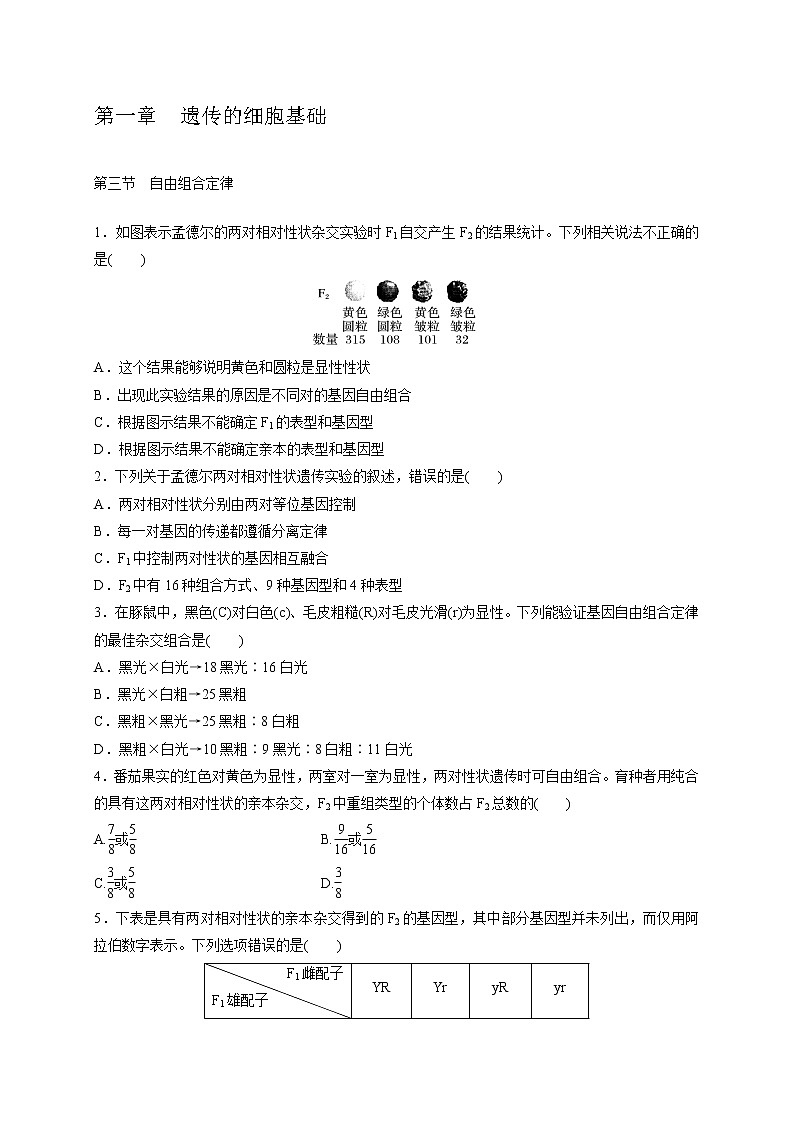 1.3 自由组合定律-2020-2021学年高一生物同步备课系列（新苏教版（2020）必修2）练习题01