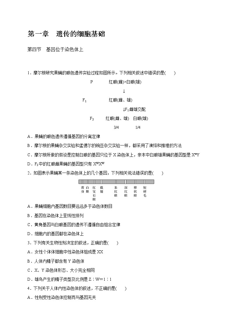 1.4 基因位于染色体上-2020-2021学年高一生物同步备课系列（新苏教版（2020）必修2）练习题01