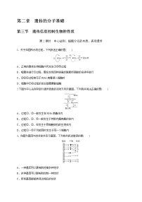 高中生物苏教版 (2019)必修2《遗传与进化》中心法则诠释了基因与生物性状的关系练习