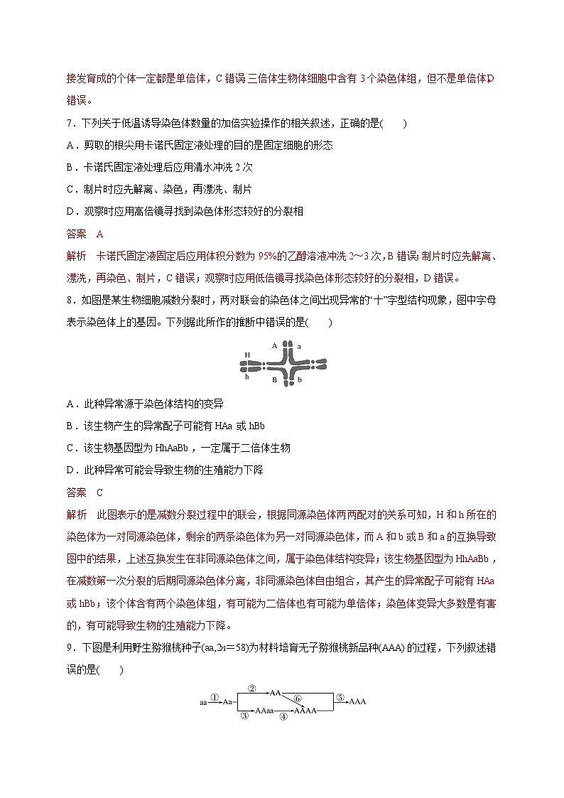 3.1 染色体变异（备作业）-【上好课】2020-2021学年高一生物同步备课系列（新苏教版（2020）必修2）（解析版）第3页
