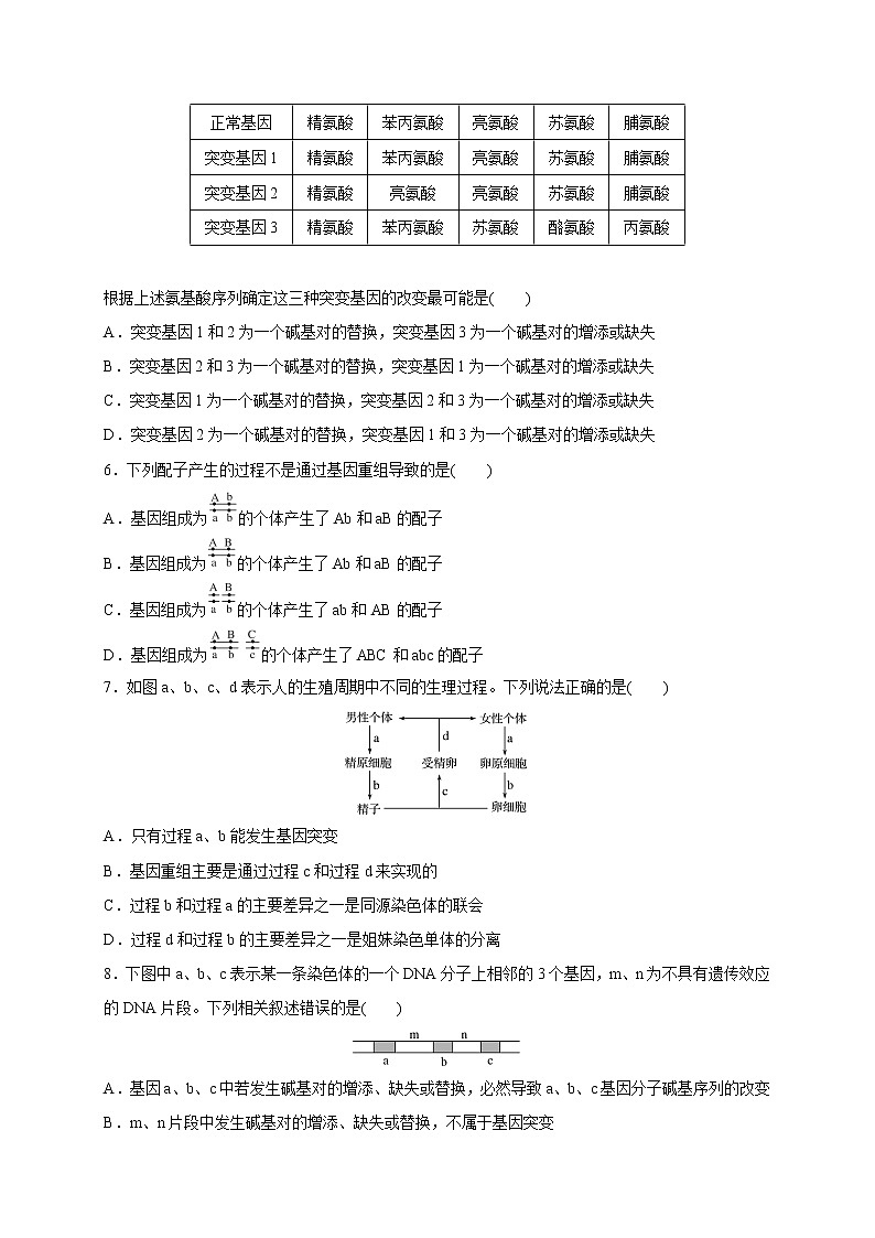 3.2 基因突变和基因重组-2020-2021学年高一生物同步备课系列（新苏教版（2020）必修2）练习题02