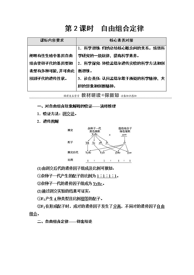 第1章 第3节 第2课时 自由组合定律 讲义 【新教材】苏教版（2019）高中生物必修二教案01