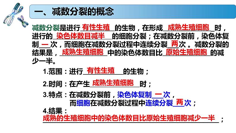 1.1.1 减数分裂产生精子或卵细胞-2020-2021学年高一生物同步备课系列（新苏教版（2020）必修2）课件PPT05