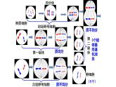 1.1.2 哺乳动物生殖细胞的形成-2020-2021学年高一生物同步备课系列（新苏教版（2020）必修2）课件PPT