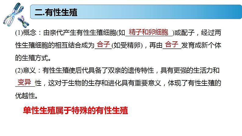 1.1.3 受精作用孕育新的生命-2020-2021学年高一生物同步备课系列（新苏教版（2020）必修2）课件PPT08