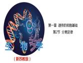 1.2.1 分离定律-2020-2021学年高一生物同步备课系列（新苏教版（2020）必修2）课件PPT