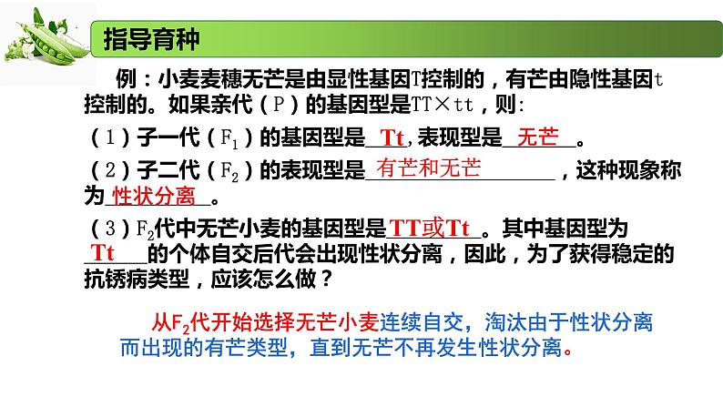 1.2.2 分离定律的应用-2020-2021学年高一生物同步备课系列（新苏教版（2020）必修2）课件PPT07