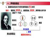 1.4 基因位于染色体上-2020-2021学年高一生物同步备课系列（新苏教版（2020）必修2）课件PPT