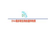 2.1 DNA是主要的遗传物质-2020-2021学年高一生物同步备课系列（新苏教版（2020）必修2）课件PPT