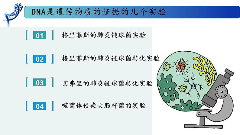 2.1 DNA是主要的遗传物质-2020-2021学年高一生物同步备课系列（新苏教版（2020）必修2）课件PPT08