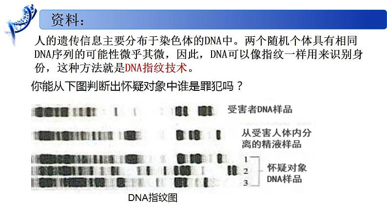 2.2.1 DNA分子的结构-2020-2021学年高一生物同步备课系列（新苏教版（2020）必修2）课件PPT02