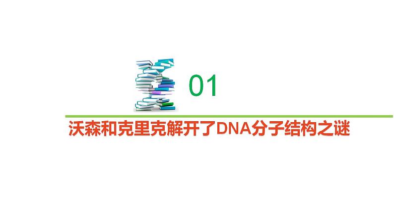 2.2.1 DNA分子的结构-2020-2021学年高一生物同步备课系列（新苏教版（2020）必修2）课件PPT03